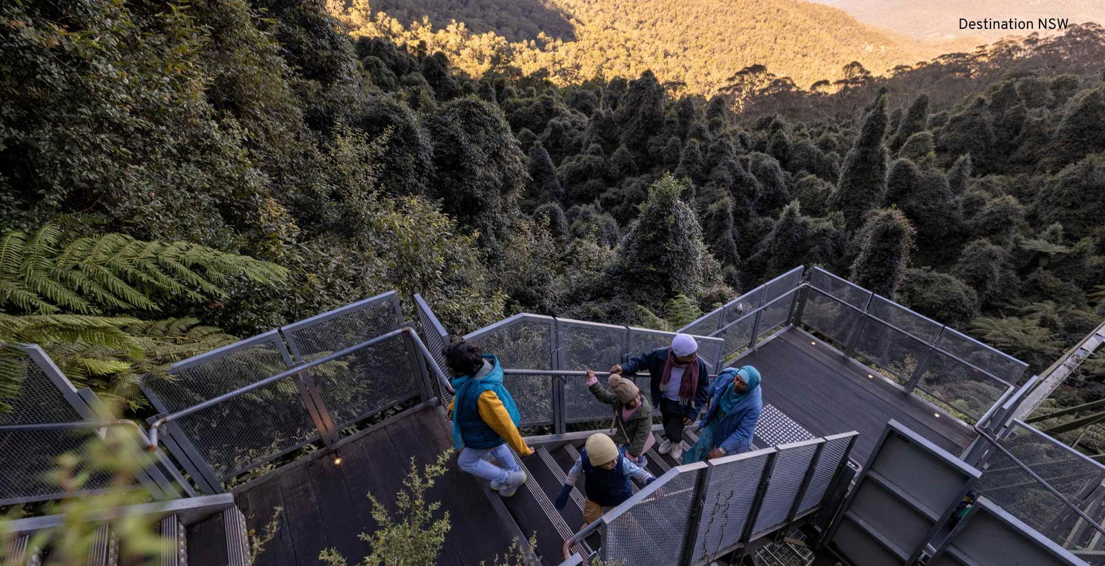 Group of people climbing stairs overlooking amazing views of the blue mountains.