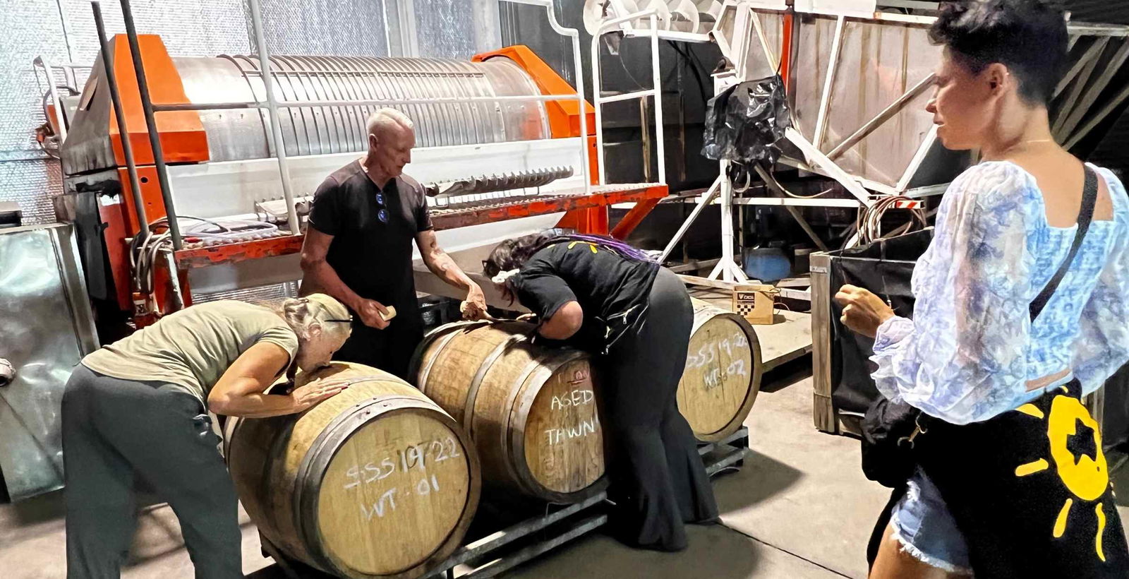 A group of people on a wine-making tour smelling barrels of wine fementing in a cellar.