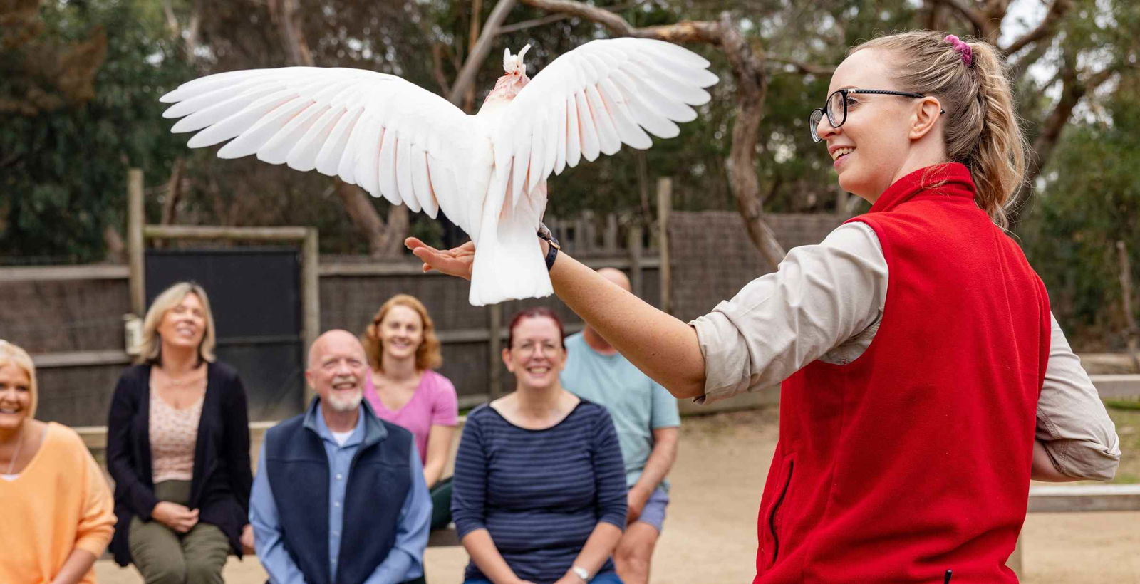 Woman holding bird with its wings outstreched at wildlife park.