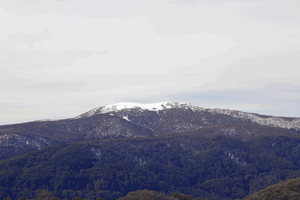 mount buller