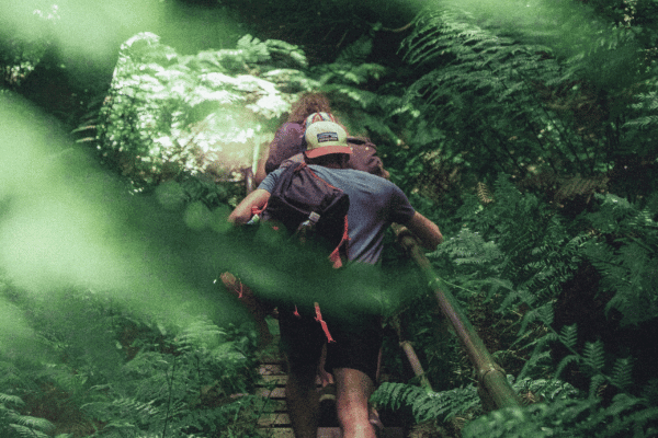 two people walking up wooden steps on a forest hike